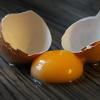 Bio-Eier sind - mit Abstrichen - besser als konventionelle Eier. Zu diesem Schluss ist ein Geflügelwissenschaftler gekommen.