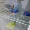 Der Kühlschrank des Kemptener Impfzentrums ist schon wieder so gut wie leer. Nur oben links lässt sich noch eine Ampulle erahnen. 	