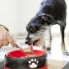 Hauptsache bedarfsgerecht: Beim Hundefutter zählen die Inhaltsstoffe.