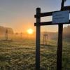 Der "Erinnerungswald" im Ries im Sonnenuntergang. Auf der Fläche stehen 141 Bäume.