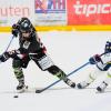 Das Eishockeyteum des EHC Königsbrunn startet am Wochenende in die Playoffs (im Bild in schwarz Nico Baur).