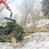 Die Baumpflege- und Baumfällarbeiten zwischen Aystetten und Adelsried haben gestern begonnen.  