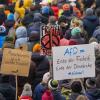 Zahlreiche Menschen demonstrieren auf dem Römerberg in Frankfurt gegen die AfD und gegen Rechtsextremismus.