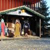 Die Krippe auf dem Vorplatz der Apostelin-Junia-Kirche zaubert immer eine besonders weihnachtliche Atmosphäre.