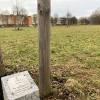 In der Grünanlage an der Mindelheimer Straße in Königsbrunn können künftig weitere Patenbäume gepflanzt werden. Einige sollen am Wasserspielplatz für zusätzlichen Schatten sorgen.
