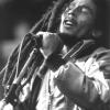 ... die Reggae-Legende Bob Marley. Bob wurde 38 Jahre alt, er starb 1981 an schwarzem Hautkrebs, der sich auf andere Organe ausgeweitet hatte.