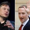 Rivalen: Das Verhältnis von Twitter-Chef Elon Musk und Facebook-Gründer Mark Zuckerberg gilt als angespannt.