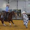 Pferde mit richtigem "Cow-Sense", reagieren nicht nur auf echte, sondern auch auf imitierte Rinder, wie Reiterin Ute Holm  bei der Americana mit ihrem Quarter Horse Inagaddavida zeigt. 