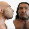 Laut einer Studie lassen sich Diabetes begünstigende Erbanlagen bis zu den Neandertalern zurückverfolgen. Das könnte die starke Diabetes-Konzentration in Lateinamerika erklären.