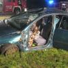 Schwere Verletzungen zog sich die Fahrerin dieses Autos nahe Sulzdorf zu.