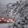 Rücklichter von Fahrzeugen leuchten auf einer Straße durch ein verschneites Waldgebiet in Stuttgart.