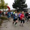 Lionslauf 2014 von Eichstätt nach Neuburg