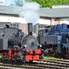 Bei den Feriendampftagen in Nördlingen sind am kommenden Wochenende sieben Lokomotiven zu sehen.