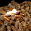 In einem Pelletofen läuft die Verbrennung, anders als in einem Scheitholzofen, kontrollierter ab. Holzrauch enthält aber dennoch Stoffe, die gesundheits- und klimaschädlich sind. 