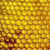 Honig kann bis zu 60 Arten von Bakterien abtöten - zum Teil sogar gegen Antibiotika resistent gewordene. Bei über 40 Grad kann er aber seine heilenden Eigenschaften verlieren.