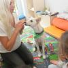 Was hast du denn da in der Hand? Püppi ist ein Findelkind und nach seiner Rettung als Therapie-Hund von Lea Erhard in der Kindertagesstätte „Zirbelzwerge“ in Oberhausen im Einsatz. 