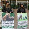 Während im Gericht über den Abschussbefehl für die Bärin JJ4 verhandelt wurde, fordern Tierschützer im italienischen Trient die Befreiung des Tieres.