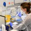 Medizinische Labore spielen für die Test-Infrastruktur in Bayern eine zentrale Rolle. Täglich werden dort zehntausende PCR-Tests untersucht – wie hier im Augsburger Labor Synlab.