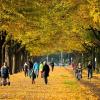 Wer den goldenen Herbst noch einmal genießen will, sollte am Wochenende ins Freie gehen.