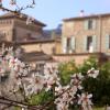 Frühlingshaftes Ambiente im Februar auf Mallorca: blühende Mandelbäume in Valldemossa.