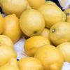 Eine natürliche Vitamin C-Quelle: Zitronen.  	