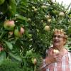 Viele leckere Obstsorten gibt es auf den heimischen Streuobstwiesen zu probieren. Hier beißt Barbara Deisenhofer aus Hirblingen mit Genuss in einen Bohner Apfel. 