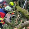 Starker Regen setzte am Donnerstagabend in Wertingen und Roggden Straßen und Keller unter Wasser. Die Feuerwehr war mehrfach im Einsatz.