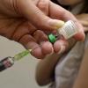 Masernimpfung ist derzeit in der Diskussion – ausgelöst von Bundesgesundheitsminister Spahn, der sie als Pflicht einführen will.
