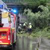 Feuerwehrleute sind nach einem Unwetter im Einsatz und räumen umgestürzte Bäume beiseite.