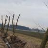 Von den Weiden am Eschachgraben bei Remmeltshofen ist nach Schnittarbeiten nicht mehr viel übrig.