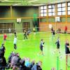 Auf bis zu zwölf Feldern gleichzeitig spielte der schwäbische Badmintonnachwuchs in Mindelheim seine Meister aus. Besonders gut schnitten dabei die Mindelheimer ab. Sie holten sieben Titel. Foto: Miriam Hampp