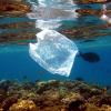 Unmengen an Plastikmüll schwimmen in den Meeren dieser Welt. Das Problem ist: Ständig kommt welcher dazu.