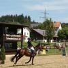 Auf der Anlage des Reit- und Fahrvereins Schwabmünchen
in der Leuthau wurde an zwei Tagen großer Sport im 
Springreiten und der Dressur geboten.