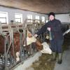 In diesen Tagen stehen die Kühe von Regina Killer im Stall in Holzkirchen. 