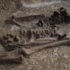 Die Zähne sind noch gut erhalten, das Skelett auch: Ein Team von Archäologen hat auf dem Lechfeld 56 Gräber aufgedeckt, die bis zu 1500 Jahre alt sein sollen. 