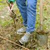 Mit Unterstützung der Gemeinde Roggenburg und der Bürgerinnen und Bürger will der Obst- und Gartenbauverein Schießen 90 Bäume und Sträucher im Gemeindegebiet pflanzen.  