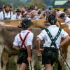 Auch wegen des Viehscheids kommen viele Gäste nach Oberstdorf. Der Ort im Oberallgäu verzeichnet schwabenweit die meisten Übernachtungen.