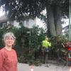 Marwe Hannich liebt die große Buche, die in ihrem Garten steht. Da sie mittlerweile 25 Meter hoch ist, müssen für die Baumpflege Spezialisten anrücken: Benedikt Kraus (Mitte) ist ein zertifizierter „European Treeworker“ und kennt sich mit der Arbeit an riesigen, alten Bäumen bestens aus. 