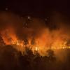 Der Wald im russischen Krasnojarsk in Sibirien steht in Flammen.