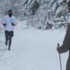 Selbst bei Schnee und Eis sind die Waldwege im Unterliezheimer Forst für Sportler ein beliebtes Terrain.