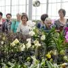 Beim Ausflug der Landfrauen stand unter anderem ein Besuch in einer Orchideen-Gärtnerei auf dem Programm. 	
