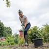 Umngraben ist jetzt im Frühjahr keine gute Idee, erklärt die Gartenbauingenieurin Marianne Scheu-Helgert. Sie lockert den Boden höchsten mit einem einer Harke ähnlichem Krail im Gemüsebeet auf und zieht ihn glatt.