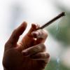 SPD, Grüne und FDP wollen eine kontrollierte Abgabe von Cannabis an Erwachsene zu Genusszwecken in lizenzierten Geschäften einführen.