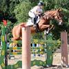 Die Schweizerin Michelé Sarkis, die in Thierhaupten lebt, nimmt mit ihrem Pferd Bijou alle Hürden.