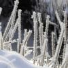Frost mit Temperaturen unter minus zwanzig Grad bringt uns in der kommenden Woche Sibierienhoch Cooper.