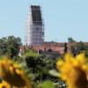 Während woanders fast nur noch Mais, Kartoffeln und Rüben auf den Feldern stehen, blühen rund um Schwifting die Sonnenblumen. 