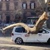 Ein Unwetter über Italien wirbelte ganze Äste durch die Straßen. 