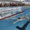 Hochbetrieb herrschte beim 2. Internationalen Lechtal-Cup in Kaufering. Die Schwimmer der Gastgeber vom VfL holten dabei viele Medaillen. 