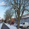 In Bellenberg sollen vier Kastanienbäume gefällt werden, weil Laub und Früchte parkende Autos beschädigen. Nun gibt es wieder Hoffnung für die Bäume.