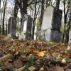 Der jüdische Friedhof in Krumbach-Hürben: Begegnung mit einer Kultur, die die Region über Jahrhunderte geprägt hat. In den Novemberpogromen des Jahres 1938 zeichnete sich das grausame Ende dieser Kultur ab. 1942 wurden 14 noch in Krumbach verbliebene Juden von den Nazis nach Piaski in das von Deutschland besetzte Polen deportiert und ermordet.  	